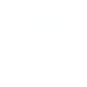 Fresh Ingredients